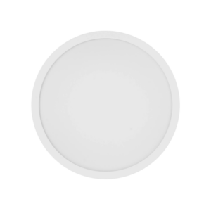 Smart Ceiling Light D20