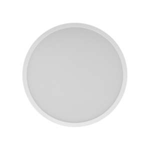 Smart Ceiling Light D30